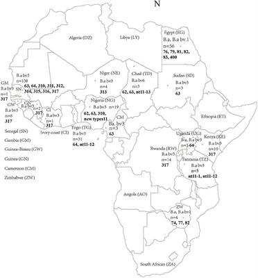 Original and introduced lineages co-driving the persistence of Brucella abortus circulating in West Africa